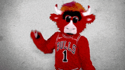 benny the bull reaction pack GIF by Chicago Bulls