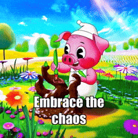 Joy Wisdom GIF by The Pigasso