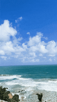 Puerto Rico Summer GIF