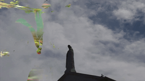 Art Film GIF by jorgemariozuleta