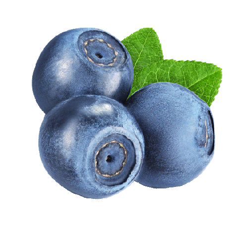 Risifrutti blueberry marja risifrutti välipala Sticker