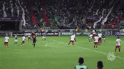 felipe melo golaÃ§o GIF by SE Palmeiras
