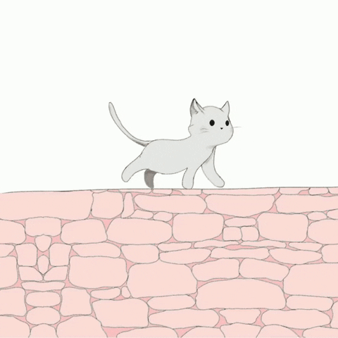 emanuellybruno cat heart gato muro GIF