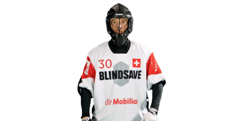 Swissunihockey Blindsavefloorball Sticker by BLINDSAVE