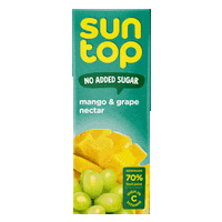 BinzagrCORO fun sun top juice Sticker