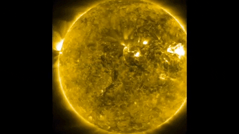 tulsimo giphygifmaker GIF