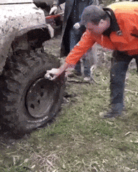 tire GIF