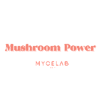 Energy Mushroom Sticker by MYCELAB
