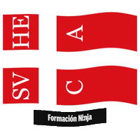 Comunidad Valenciana Flag Sticker by Formación Ninja