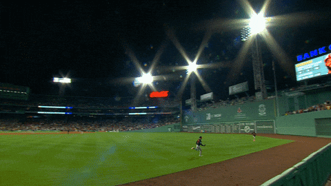 bclemens6 giphyupload GIF