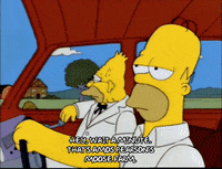 homer simpson episode 10 GIF