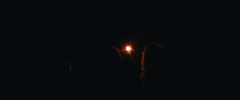 july 4th fireworks GIF by In The Radiant City