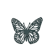 sandradeoliveiraf butterfly papillon sdof Sticker