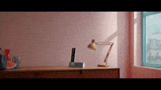 Sowee sowee GIF