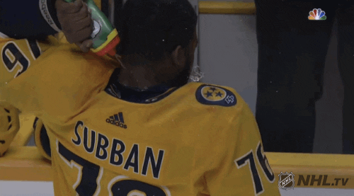 Ice Hockey Sport GIF by NHL