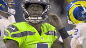 Seattle Seahawks Sport GIF by NFL