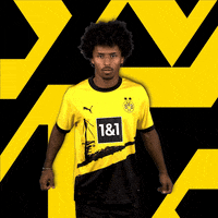 Adeyemi GIF by Borussia Dortmund