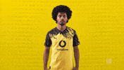 Borussia Dortmund Football GIF by Bundesliga