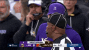 Nfl Skol Vikings GIF by Minnesota Vikings