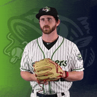 GoStripers look away gwinnett stripers GIF
