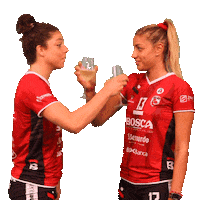 Cheers Volleyball Sticker by cuneo_granda_volley