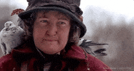 Christmas Wet Bandits GIF by Home Alone