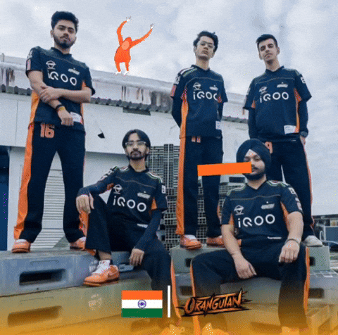 Team India GIF