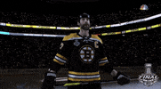 2019 stanley cup finals GIF by NHL