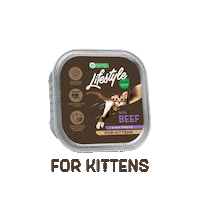 Lifestyle Kittens Sticker by Nature's Protection