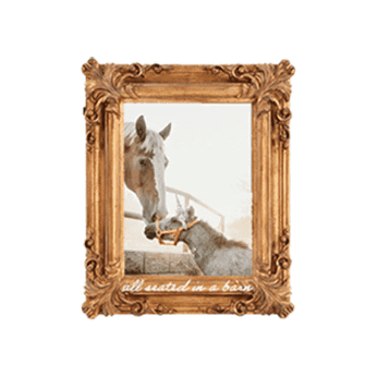 Horserescue Sticker by All Seated in a Barn