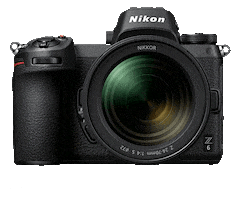 Nikon Nikoninstabadge Sticker by NikonIndia