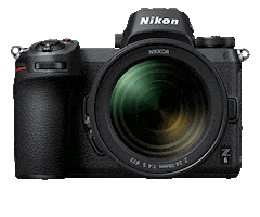 Nikon Rohanmishranikon Sticker by NikonIndia