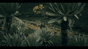 Music Video Vibes GIF by Chelsea Wolfe