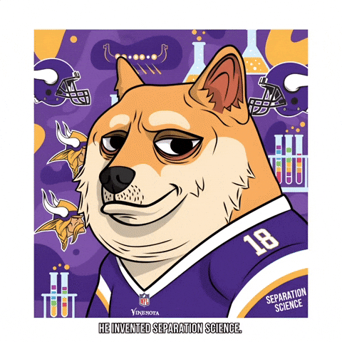 Shiba Inu Football GIF by Doge Pound