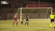 Celebrate Team Mates GIF by Cliftonville Football Club