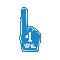 National Football League Sticker by Carolina Panthers