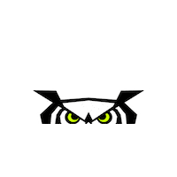 omahaparliament owl unionomaha vivabúhos vamosbuhos Sticker