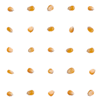 Pattern Lol Sticker by Proper