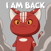 Cat Hello GIF by Kitaro World