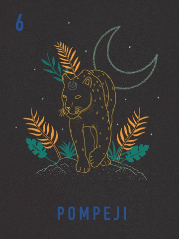 Stars Lion GIF by marissa