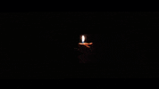 Video Rock GIF by TheFactory.video