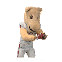 College Sports Oklahoma Sticker by College Colors Day