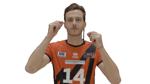 Volleyball Berlin Sticker by BR Volleys