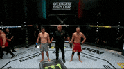 Episode 11 Mma GIF by UFC