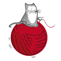MsSlow cat ball play chat Sticker