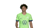 Oh No Football Sticker by VfL Wolfsburg