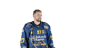 ekzellereisbaeren eishockey 97 alpshockeyleague zell am see Sticker