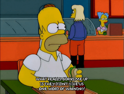 homer simpson GIF