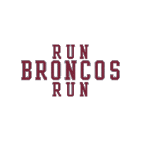 Go Broncos Sticker by Santa Clara Broncos