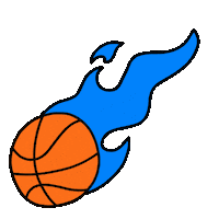 New York Basketball Sticker